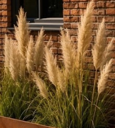 Plantenbak op maat met schuine hoek